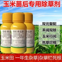24%烟嘧锈去津玉米苗后除草剂：安全型玉米专用除草剂