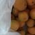陕西大荔县优质黄金子珍珠油杏大量上市，产地直发，货源足