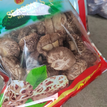 香菇
