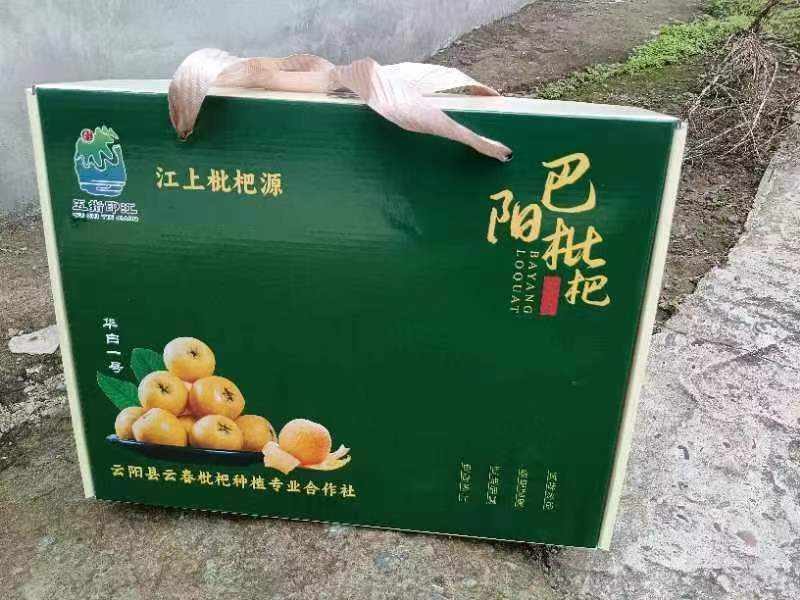 华白一号枇杷