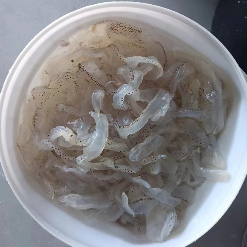 山东海蜇皮品质保证诚信经营欢迎联系接商超市场电商