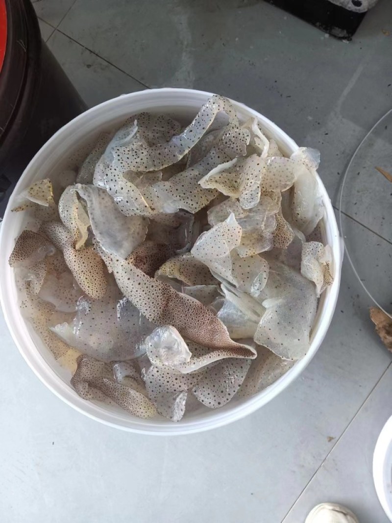 山东海蜇皮品质保证诚信经营欢迎联系接商超市场电商
