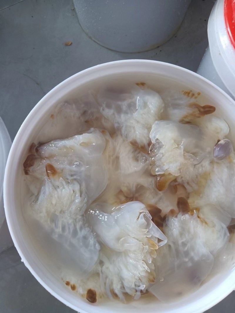 山东海蜇皮品质保证诚信经营欢迎联系接商超市场电商