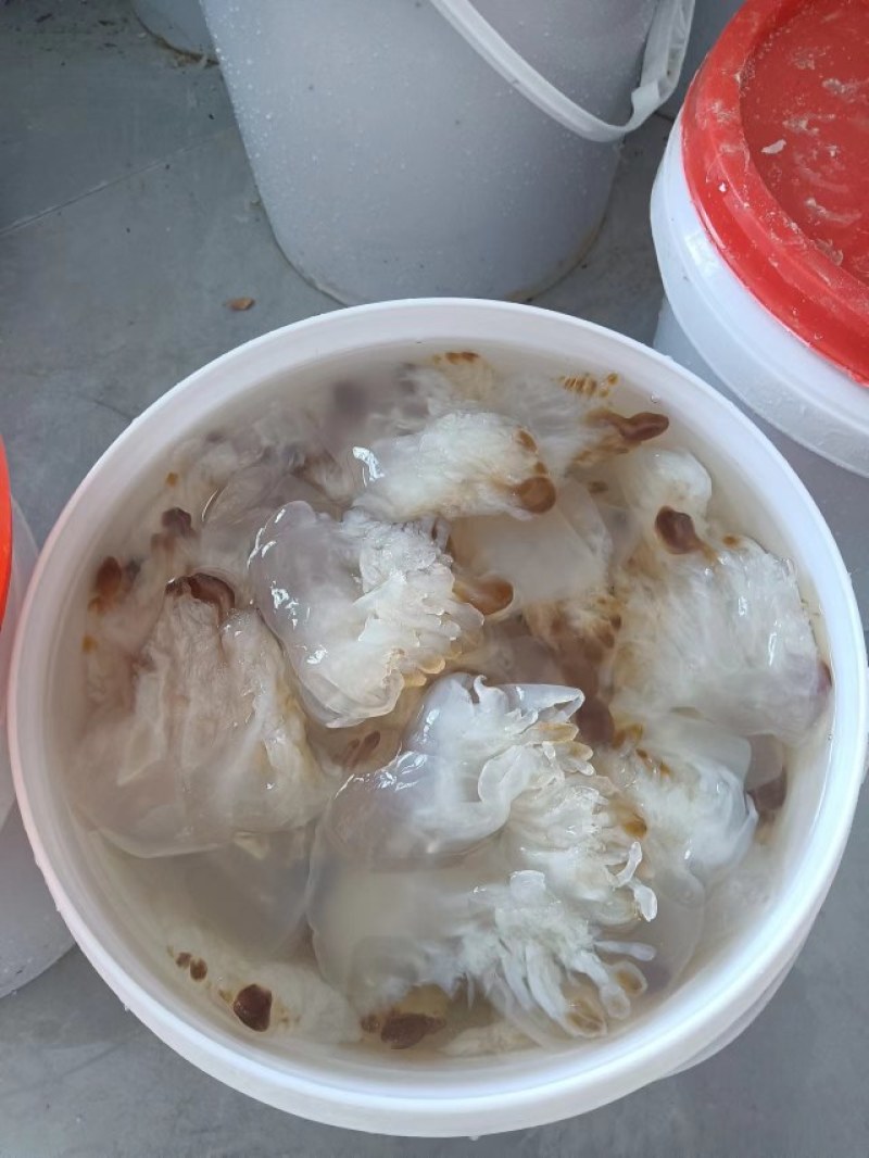 山东海蜇皮品质保证诚信经营欢迎联系接商超市场电商