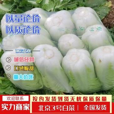 北京三号白菜，黄心白菜，适合做酸菜，市场，散装，袋装