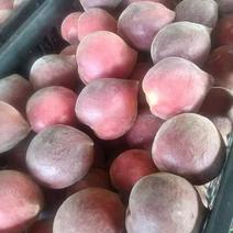 云南红桃，早熟品种，是露天种植口感好，桃味道浓。
