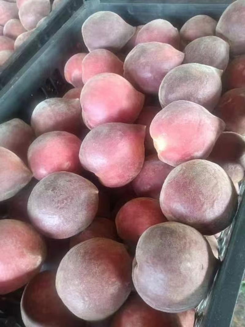 云南红桃，早熟品种，是露天种植口感好，桃味道浓。