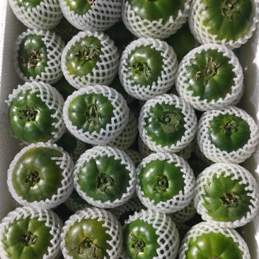 草莓柿子