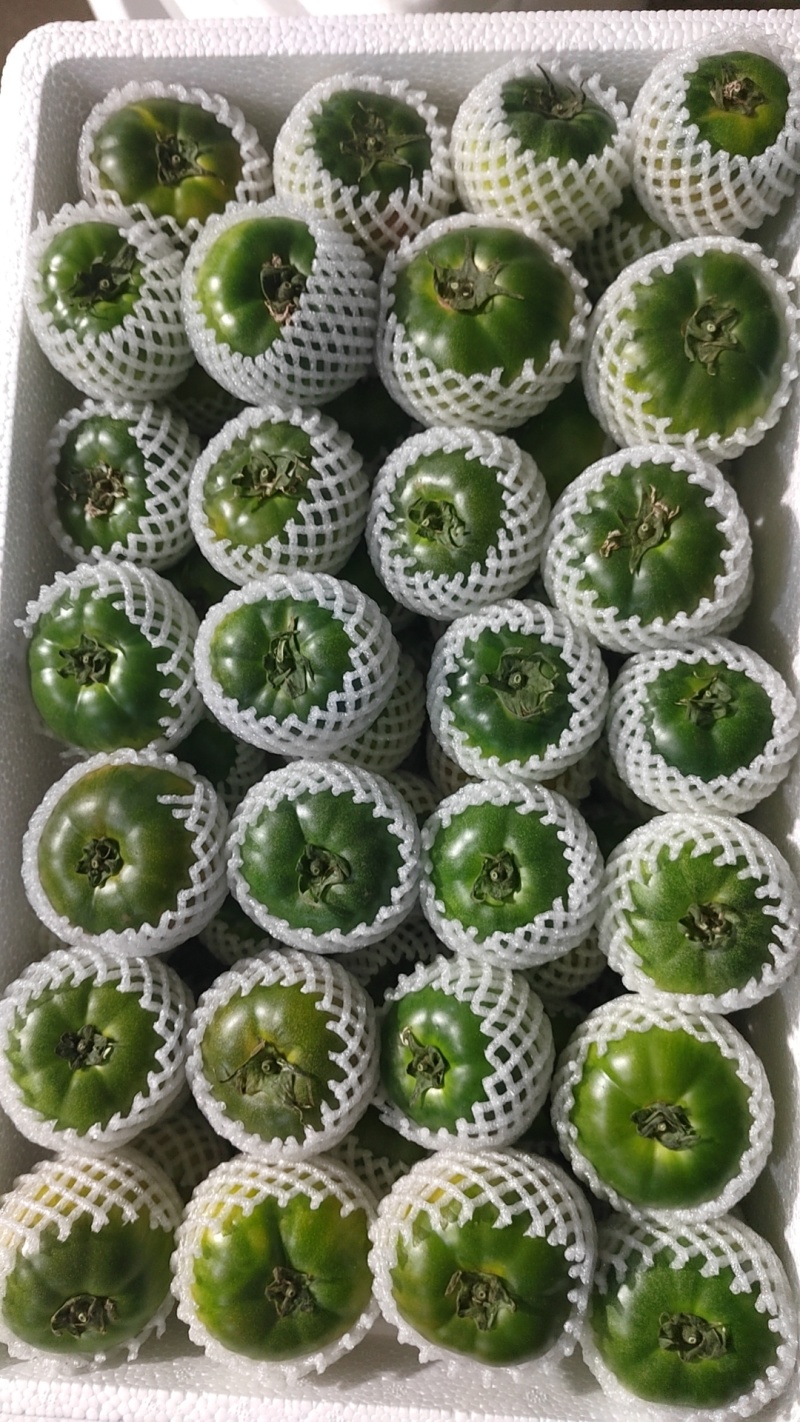 草莓柿子