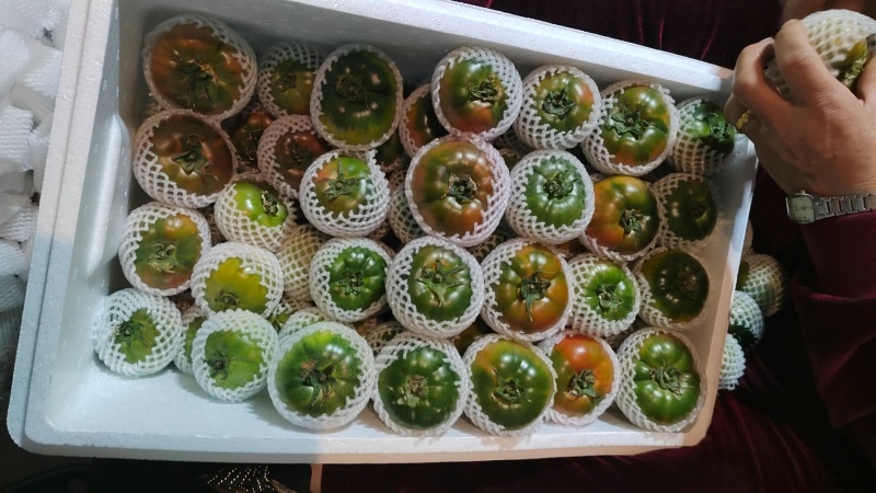 草莓柿子