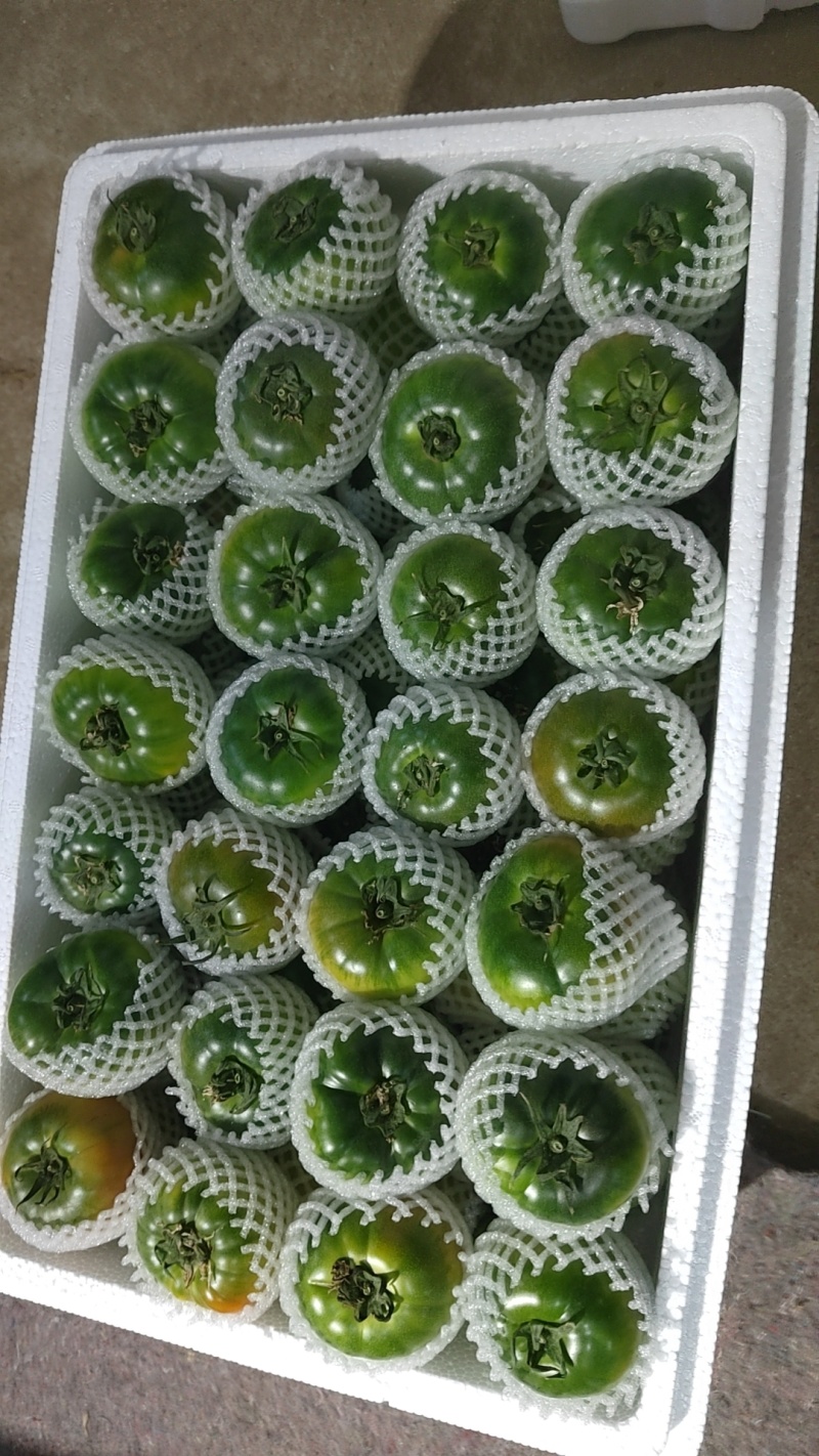 草莓柿子