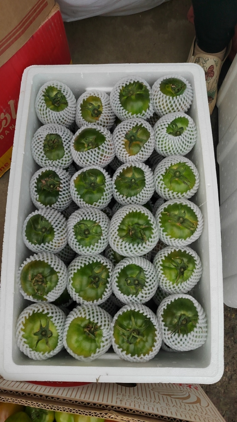 草莓柿子