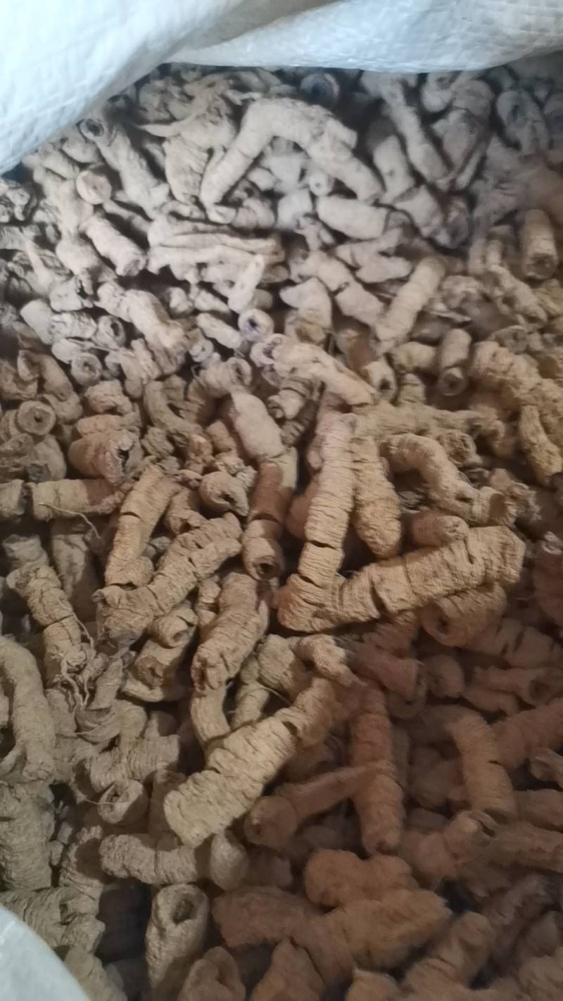 中药材批发零售巴戟天，巴戟肉，中药材巴戟