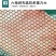 新型折叠搬网开放式河虾折叠捕鱼笼虾笼鱼网抬网龙虾网耐用手
