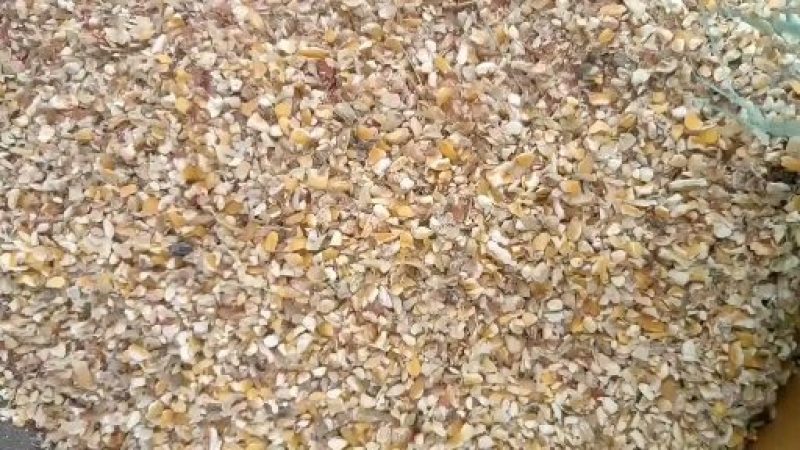 碎玉米下脚料无土无杂质无霉变适鸡鸭鹅牛羊使用