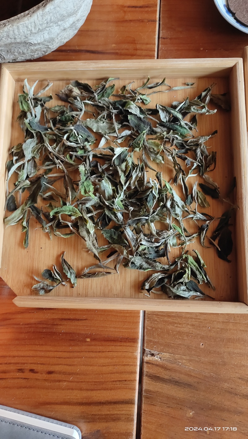 高黎贡山生态白茶（云雾茶）