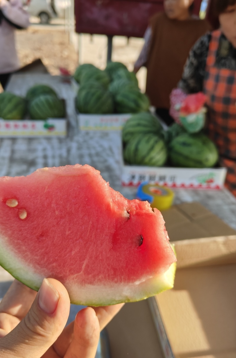 美都西瓜上市，精品电商对接超市产地直发全国欢迎大家联系