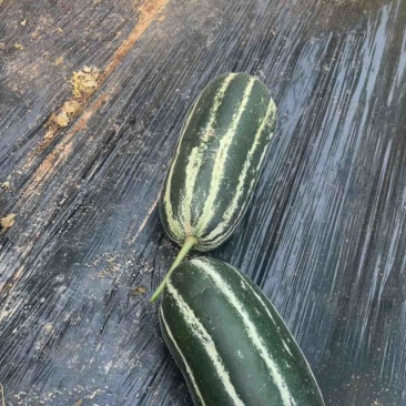 陕西大荔