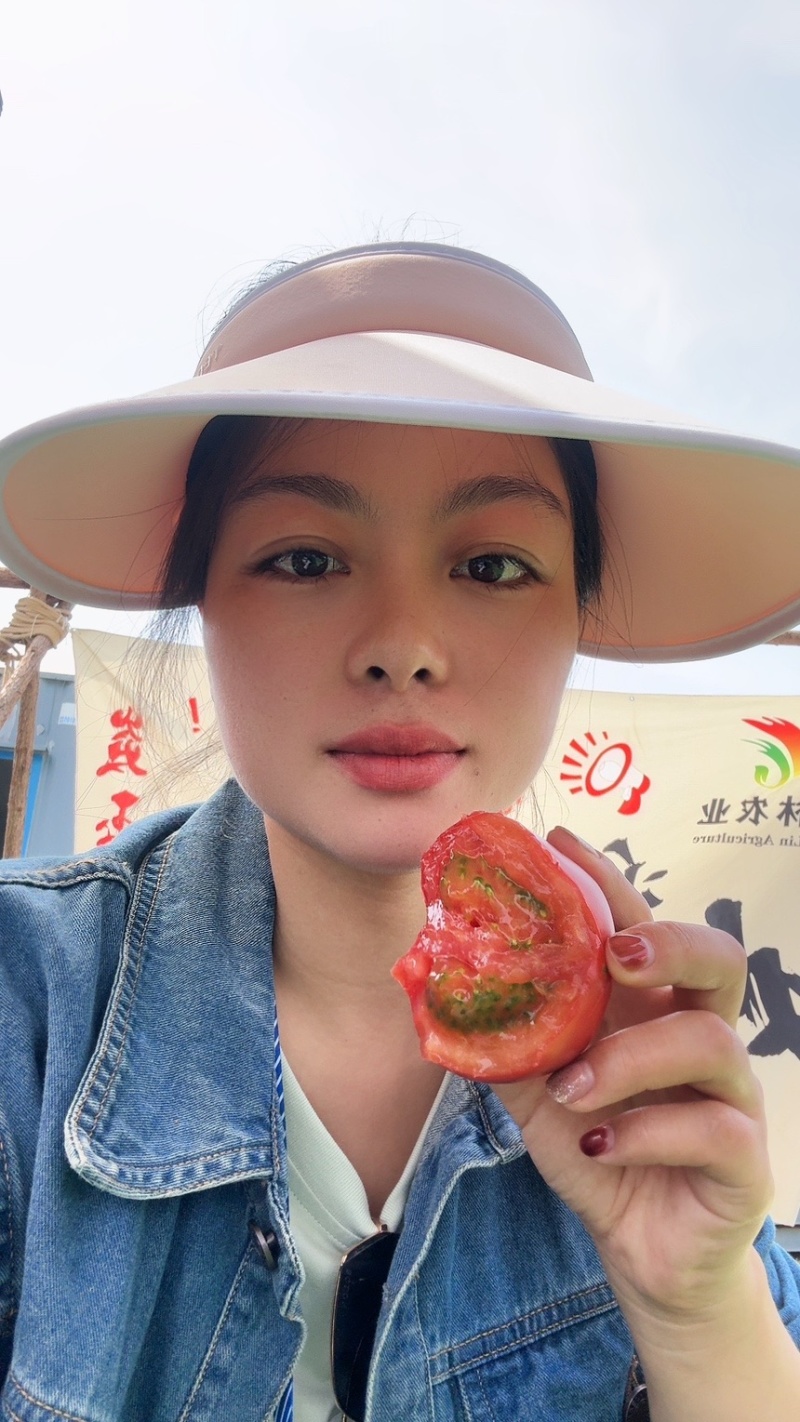 寿光炎春草莓番茄酸甜可口绿籽绿肩多心室耐裂