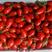 409小柿子小黄九，自家种植味道鲜美，欢迎大家选购。