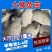 小银鲫鱼湘鲫鱼苗淡水活体草鱼花鲢苗
