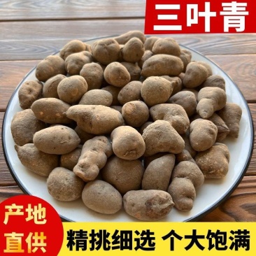 【浙江发货】中药材三叶青无硫三叶青多规格可选包邮