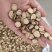 甘草8到14选装货祥泰药材栈中药材批发零售实物拍摄量多从