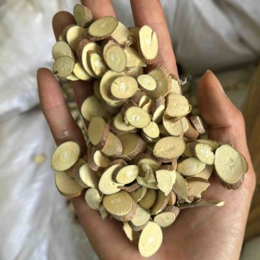 桑枝桑枝片干货无硫实拍泡脚桑枝现货发货如图