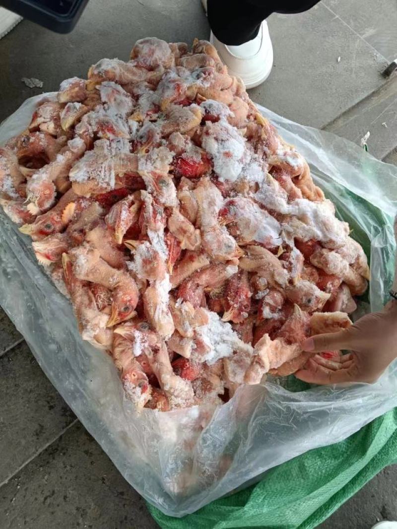 鸡头脖