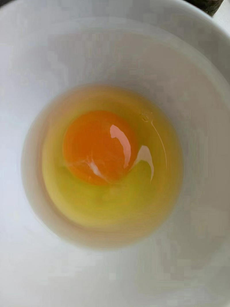 绿壳粉壳土鸡蛋