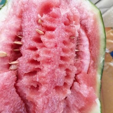 甜瓜