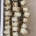 重庆高山球盖菇