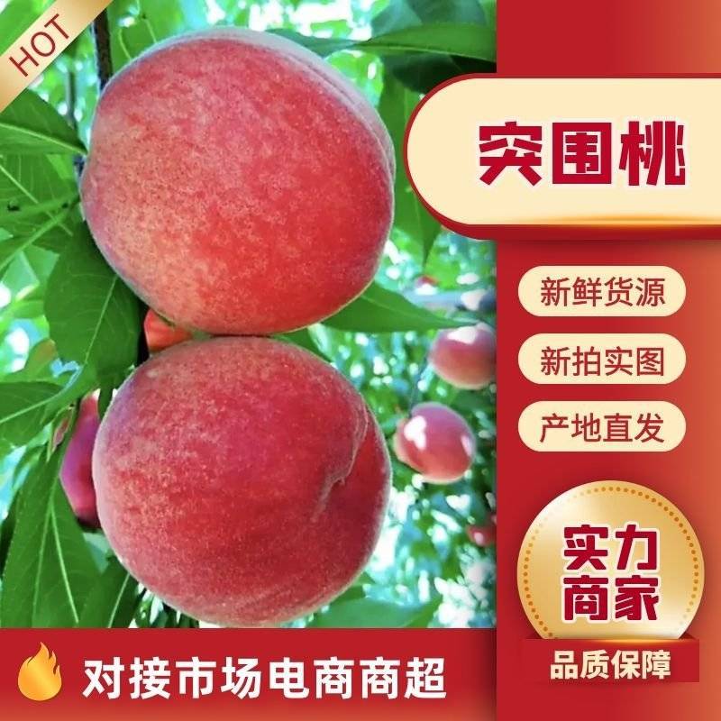 毛桃/突围量大从优平台电商有合作地头看货选果一件代发