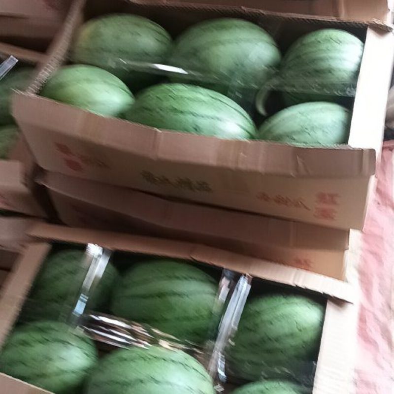 嘉秀