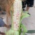 水果玉米,黄甜白糯,花糯,大基地货,质量好,颜色清秀