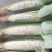 水果玉米,黄甜白糯,花糯,大基地货,质量好,颜色清秀