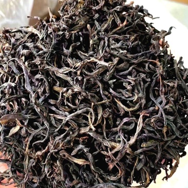 蜜兰香单丛茶浓香型潮州凤凰单枞茶熟茶乌岽凤凰单丛茶叶蜜兰