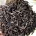 蜜兰香单丛茶浓香型潮州凤凰单枞茶熟茶乌岽凤凰单丛茶叶蜜兰