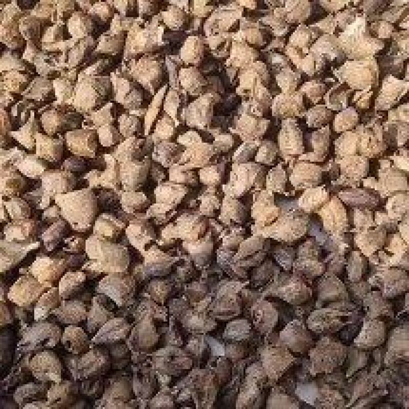 精品桑螵蛸熟品质好量多价格可谈欢迎联系