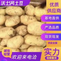 沃土5号土豆沙土豆地荷兰全系品种，各种包装规格齐全