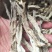 鹿茸菇散装干货产地直供食用菌香菇菌汤