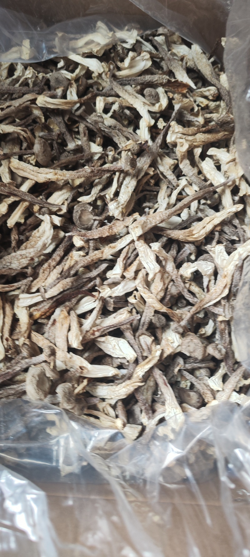 鹿茸菇散装干货产地直供食用菌香菇菌汤