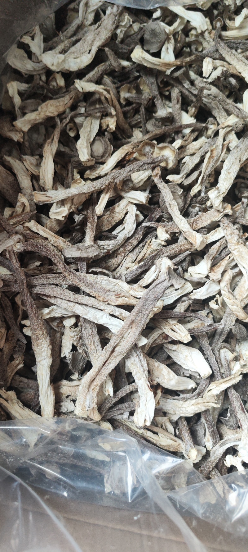 鹿茸菇散装干货产地直供食用菌香菇菌汤