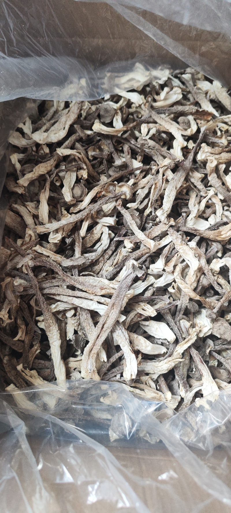 鹿茸菇散装干货产地直供食用菌香菇菌汤
