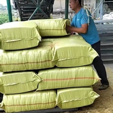 河南压缩稻壳