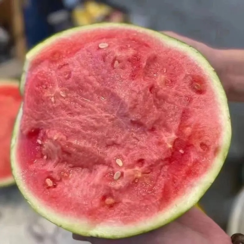 优质西瓜美都硒砂8424西瓜皮薄多汁量大从优
