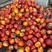 湖北油桃毛桃大量供应脆甜多汁品质保证产地直发