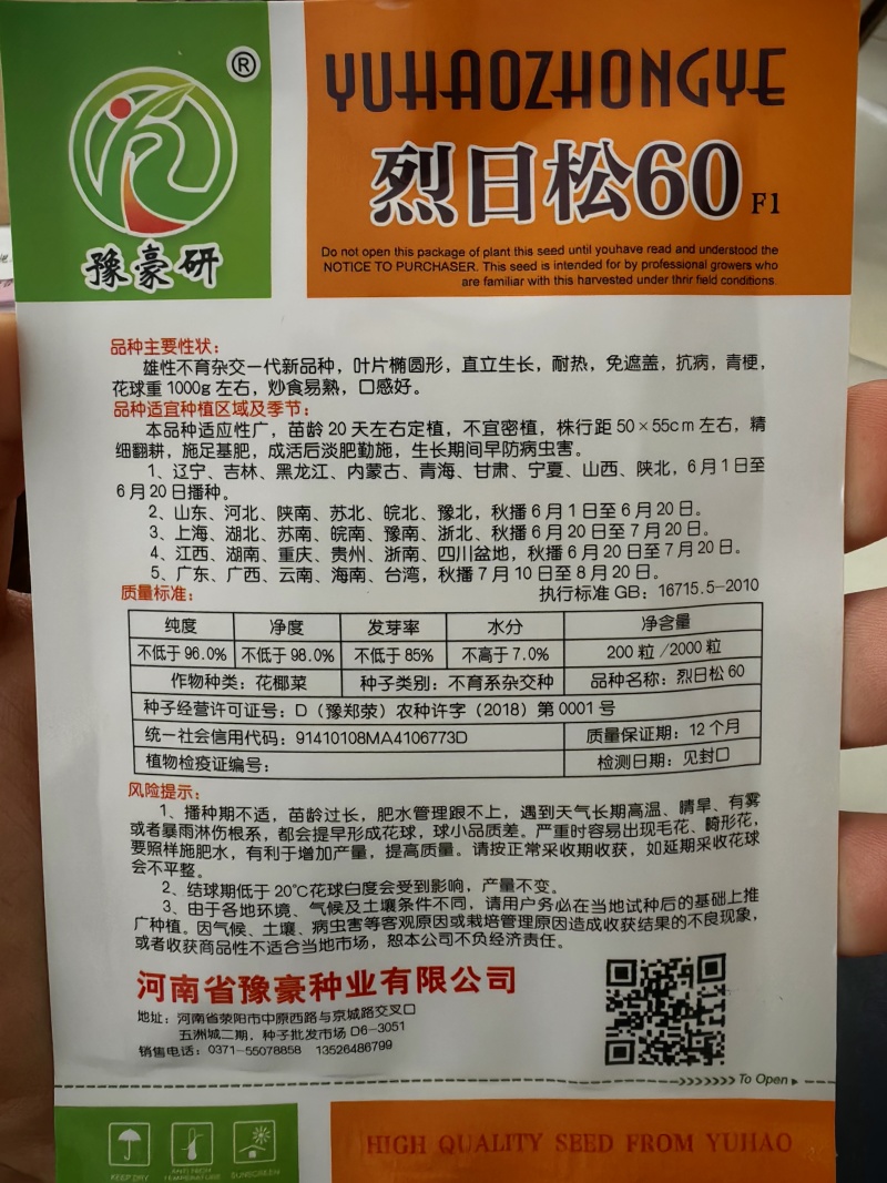 免盖球松花菜种子烈日松60松花菜种子早熟耐热青梗松花菜花种籽