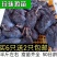 珍珠鸡
