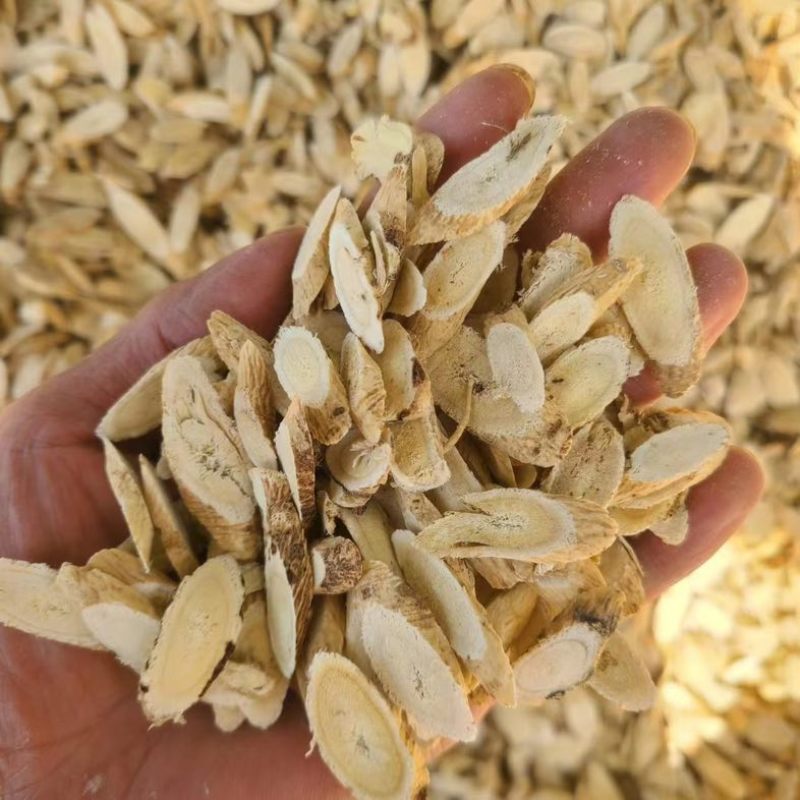 新鲜黄芪量大从优无添加欢迎电话咨询
